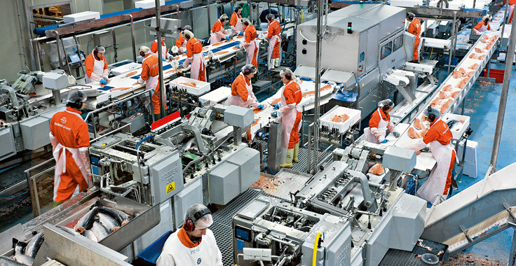FDA silicone